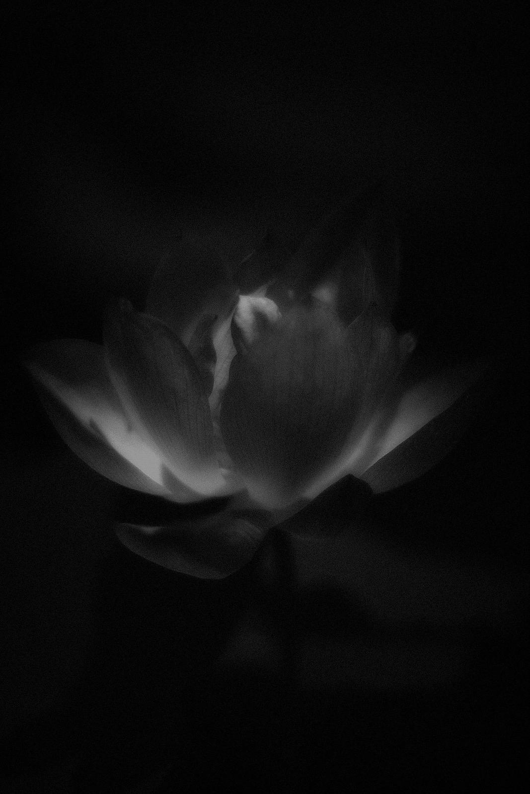 unnamed image